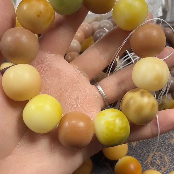 吊坠菩提根/象牙果