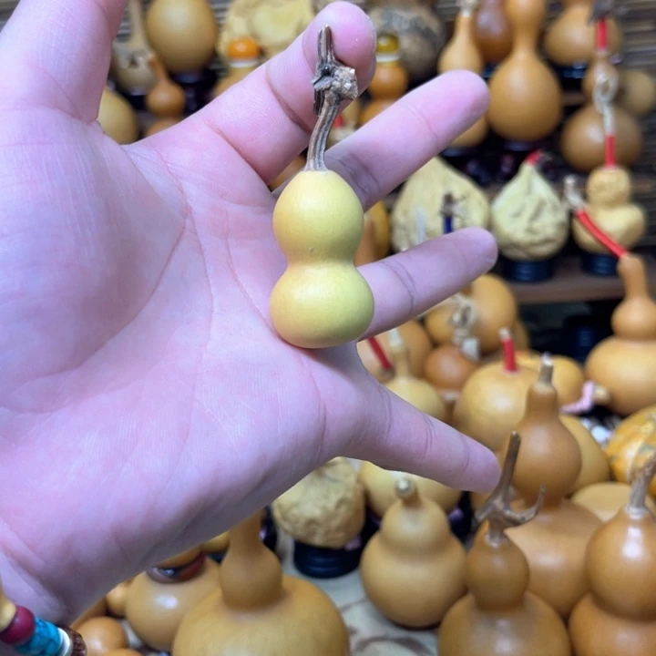 极品草里金和尚头33