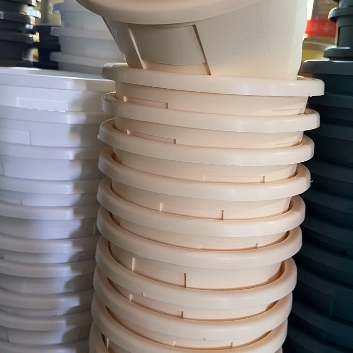 测26口径米黄无托5个