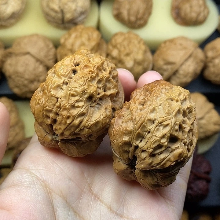 吊坠桃核霸王龙43尺