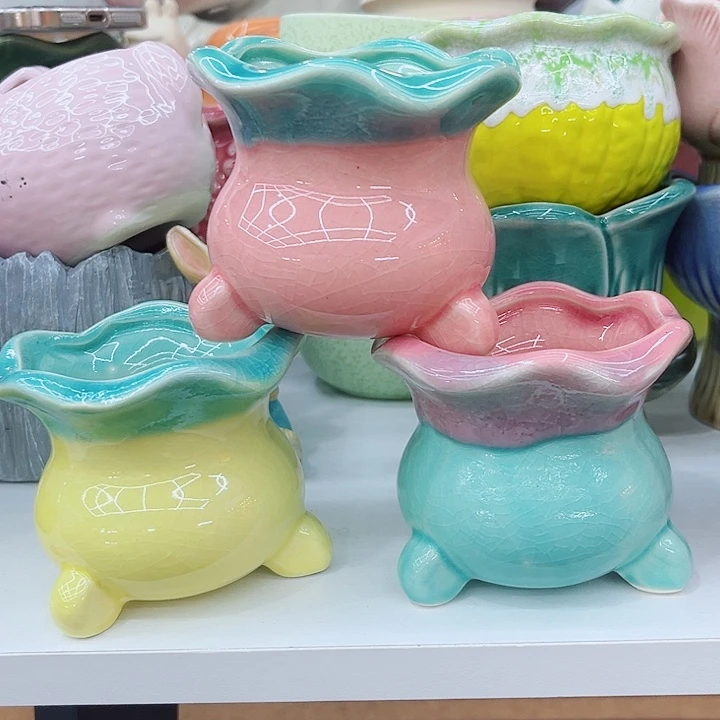 多肉植物陶瓷花盆