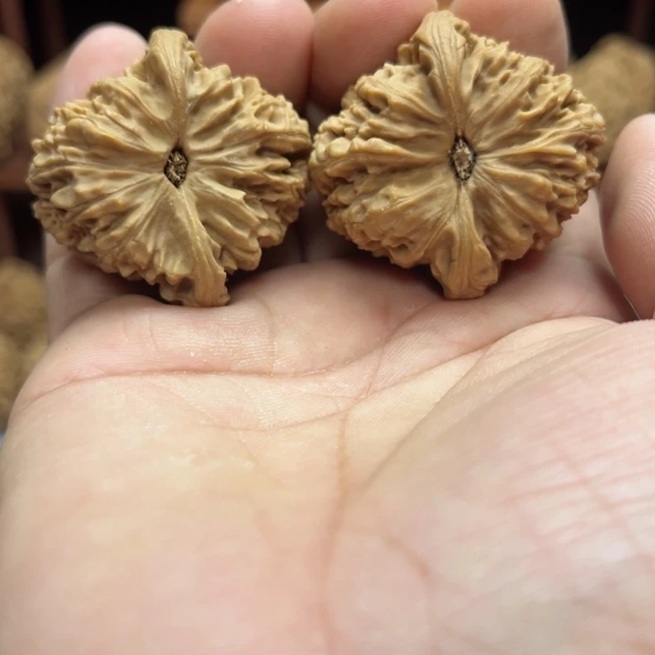 完全开放云***地南疆石