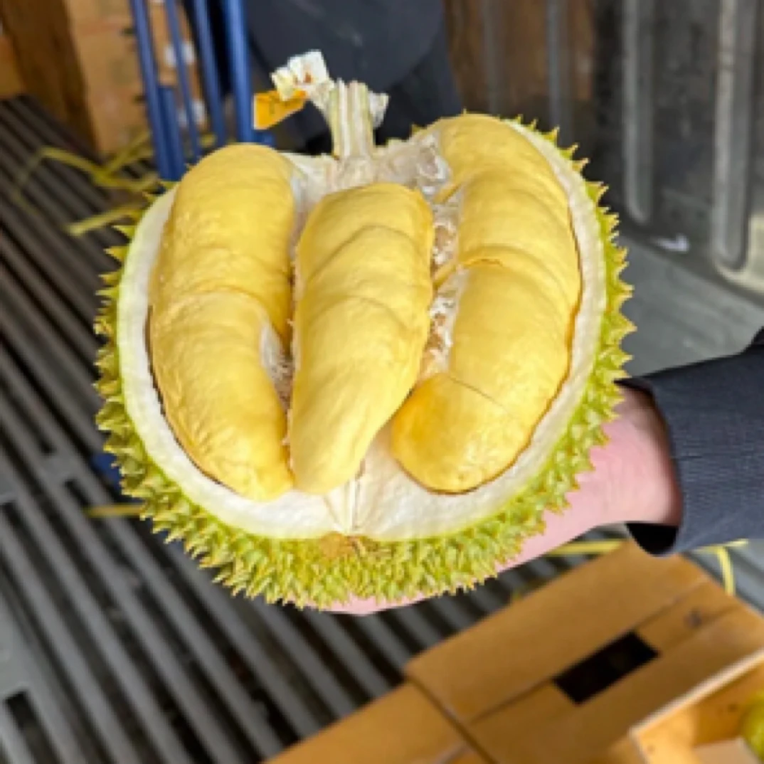 泰国金枕鲜榴莲扒肉1.5斤起核小榴莲同城送金枕泰国