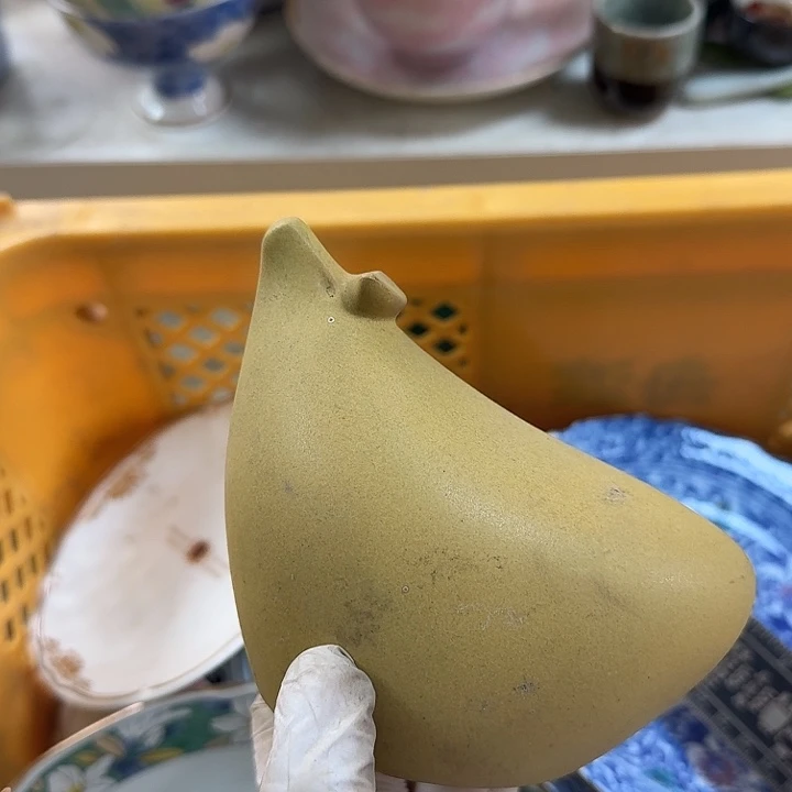 碟开播啦…开播啦