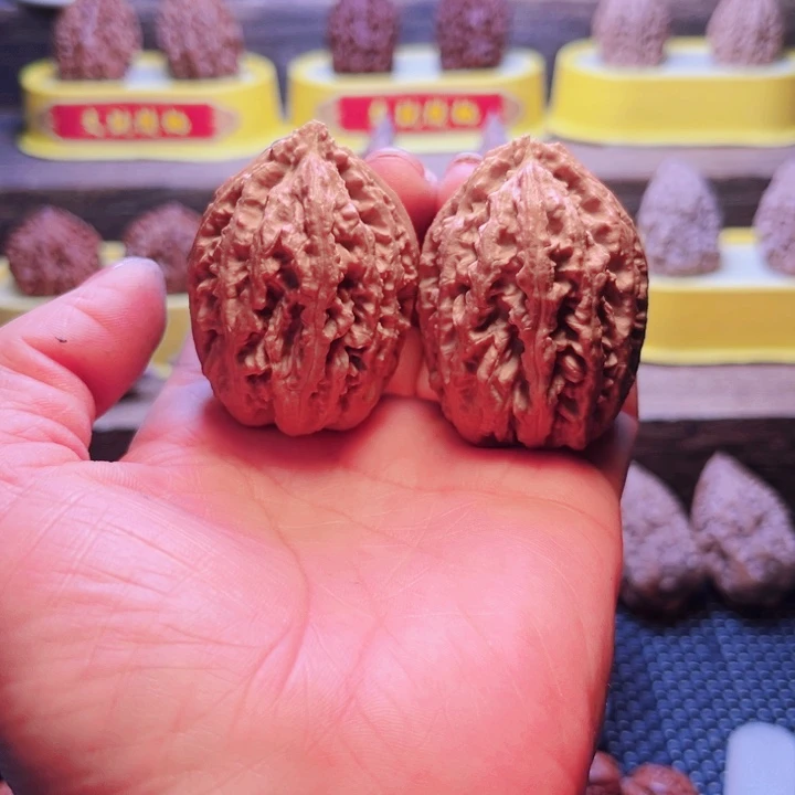 核桃10号车放漏漏漏漏漏