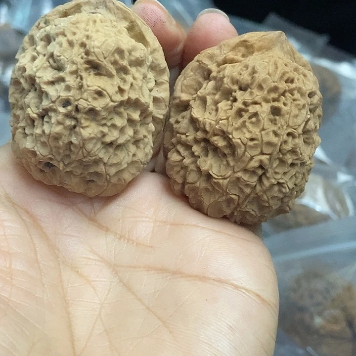 木质类云南铁核桃基地94