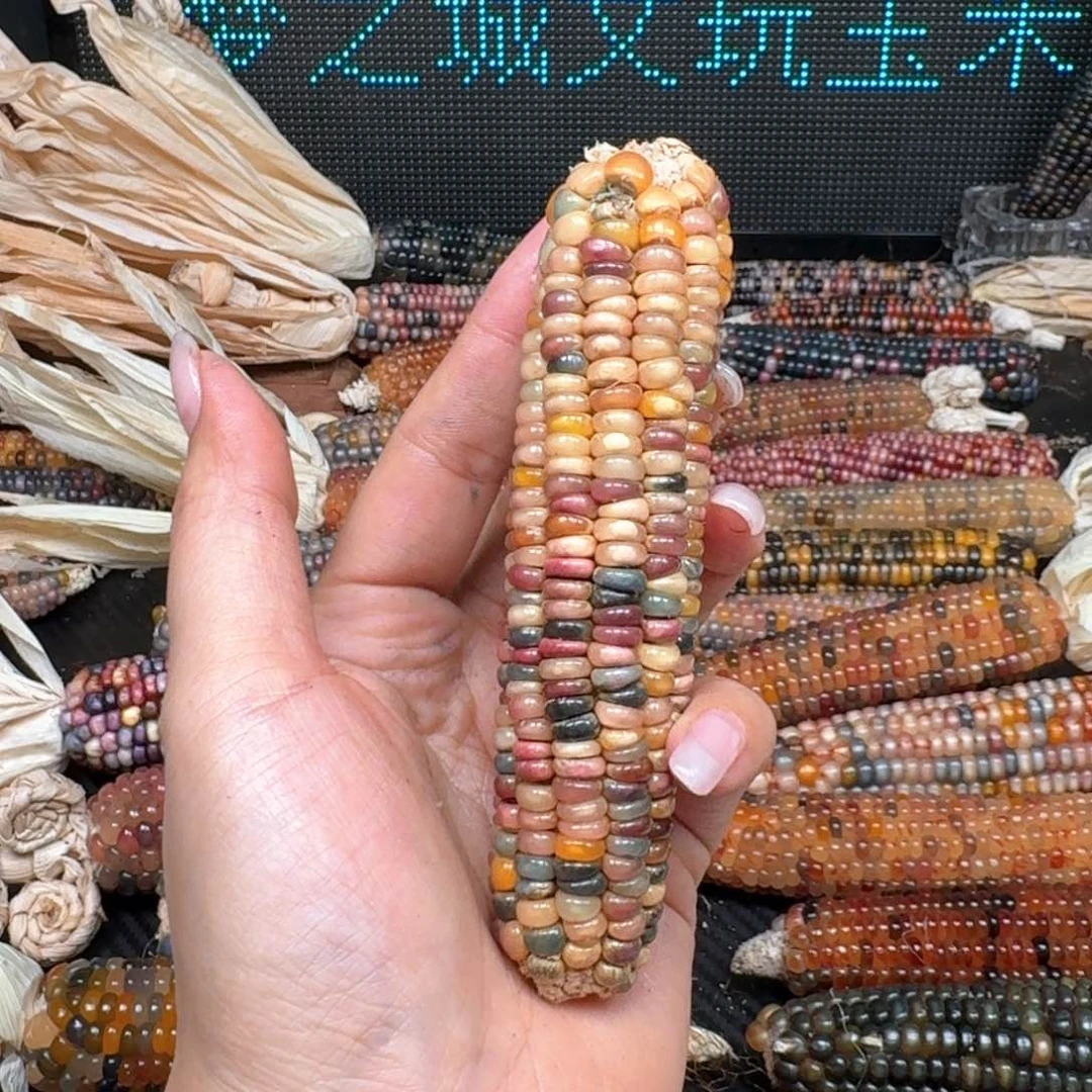 柏香籽/百香籽吊坠清*.