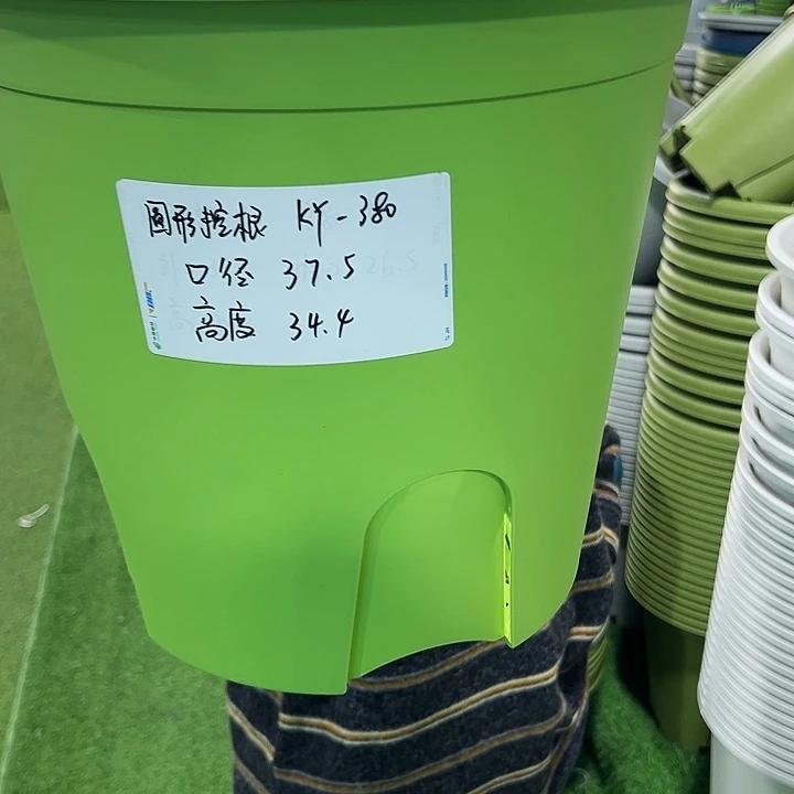 正品圆控口37.5高34果绿无托3只