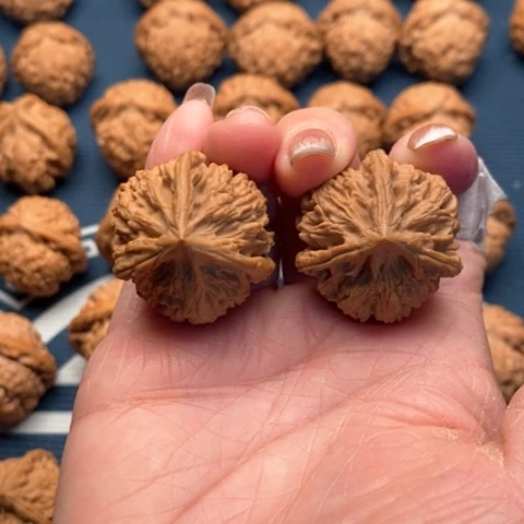 橄榄核手串/手链文山32全品