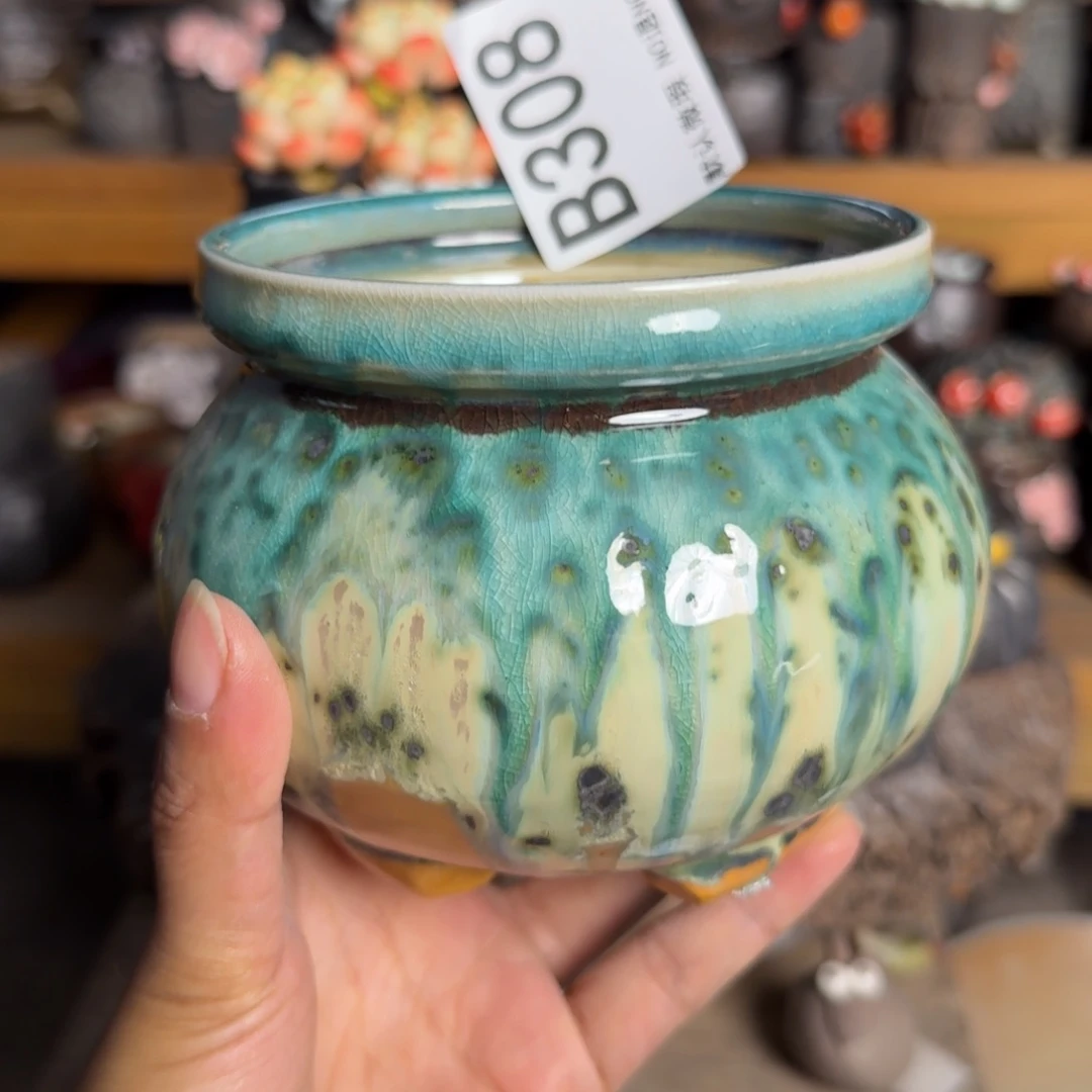 泽***帅重庆小燕子欢迎大家308陶瓷
