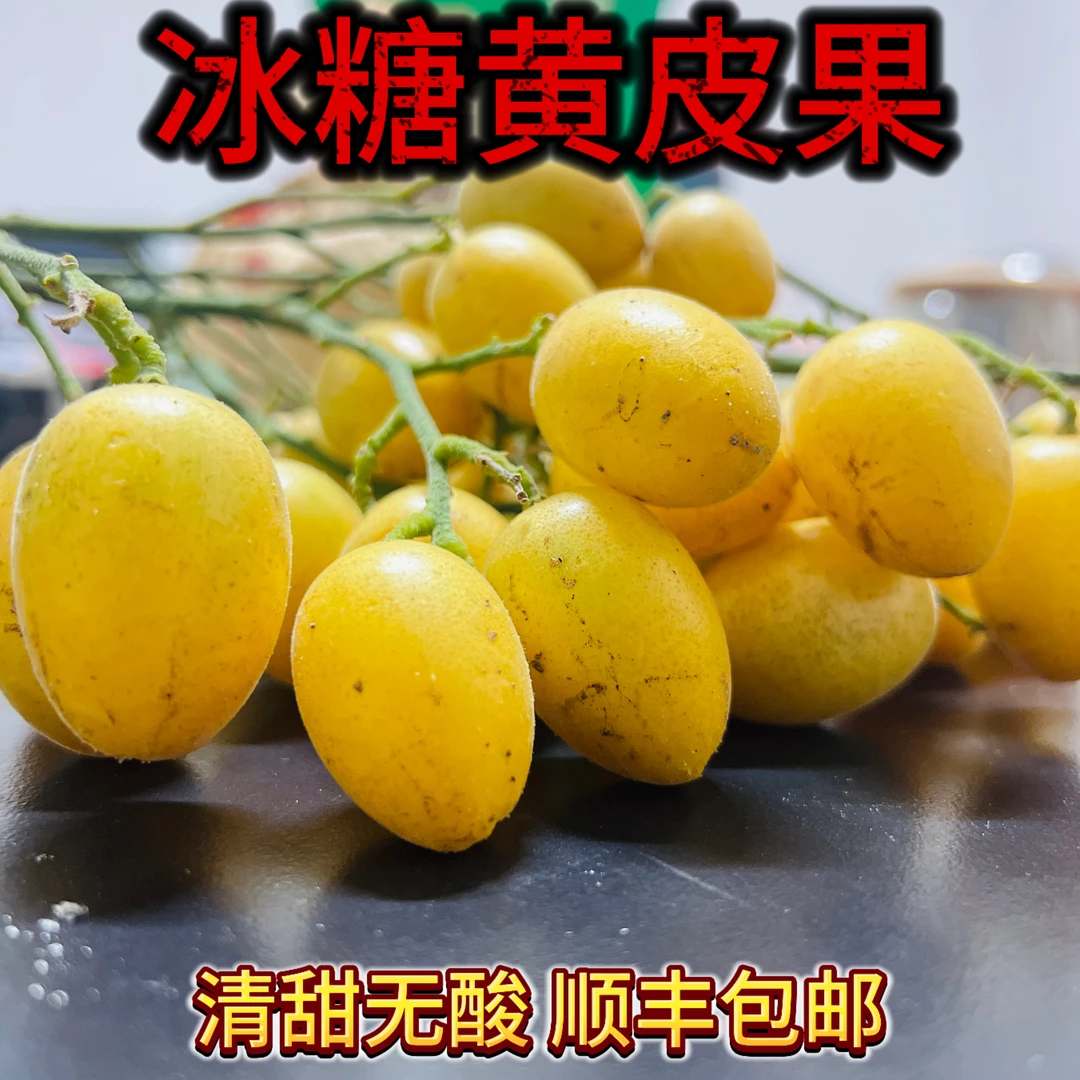 【顺丰】冰糖黄皮果【颗粒小盒装】多品种当季新鲜现摘纯甜可口水果