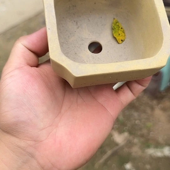 一哈来我这儿吃饭啊亲爱