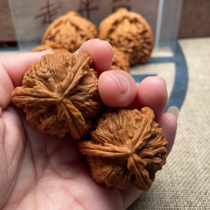 M****核桃白狮子37核桃