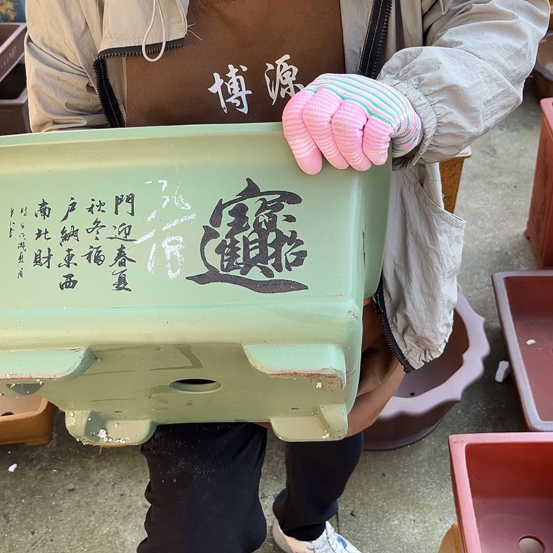 紫砂花盆盆景艺术