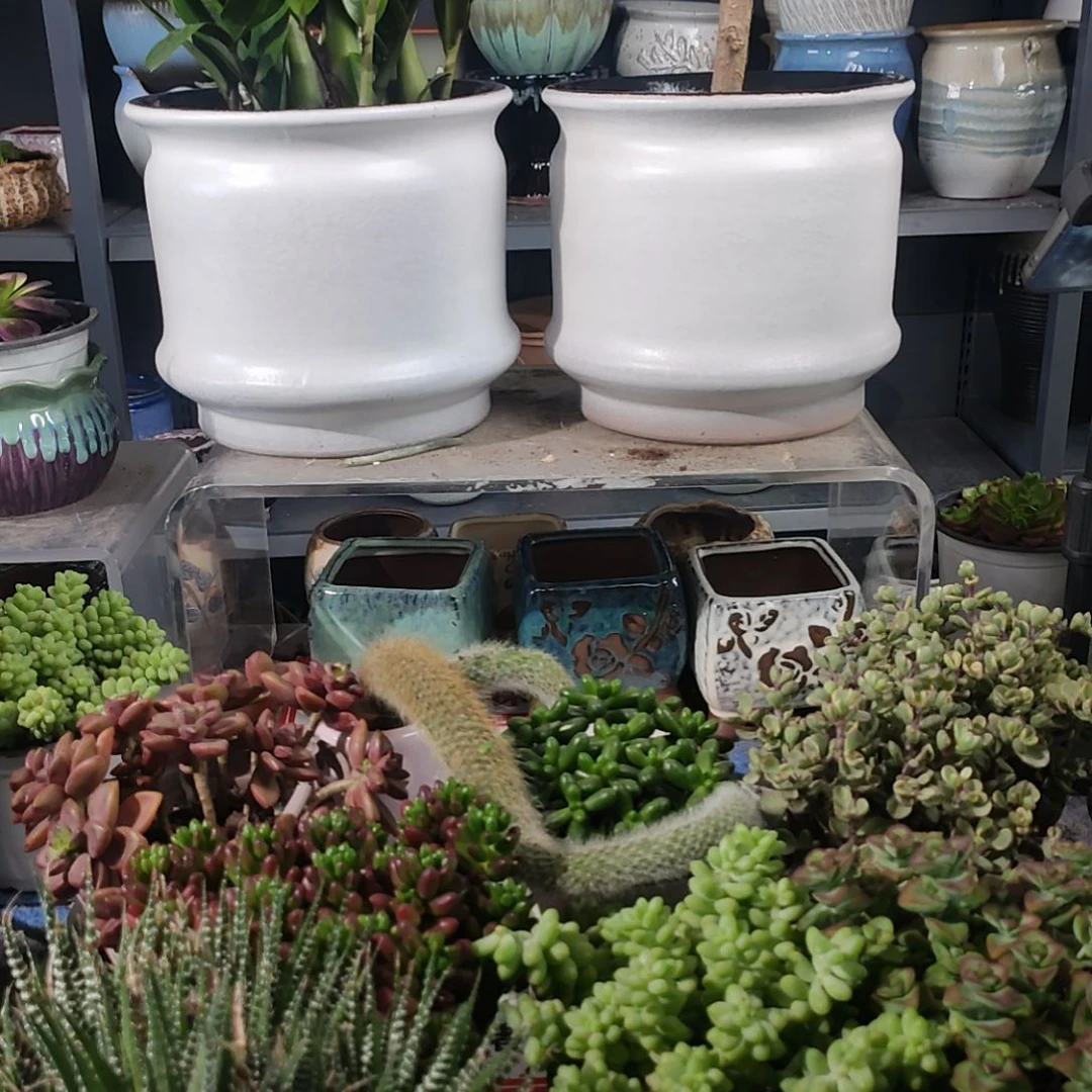 粗陶大花盆两个装