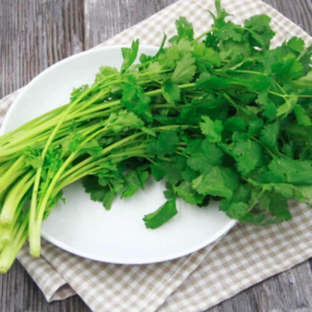 新鲜香菜 50g/份