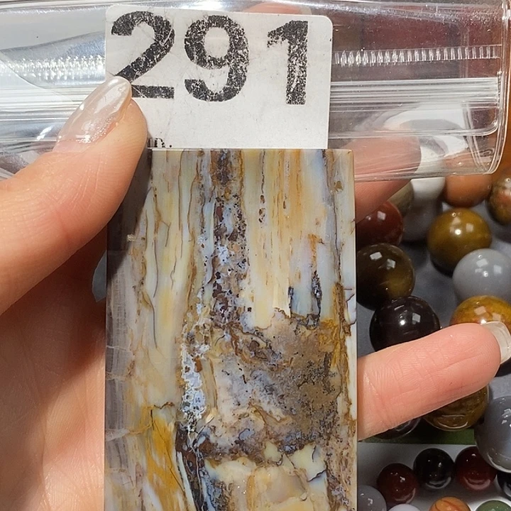 硅化玉未镶嵌天然北票树化玉吊坠