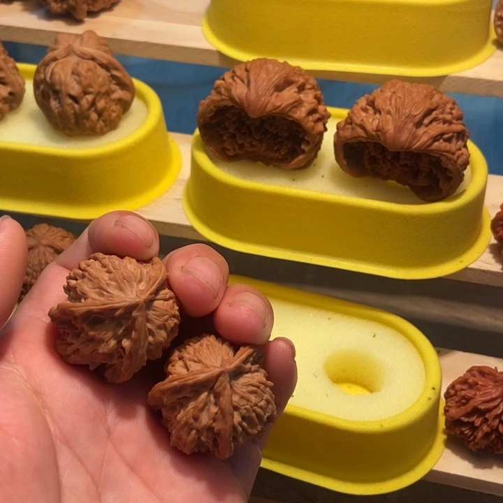 官方网站发布消息