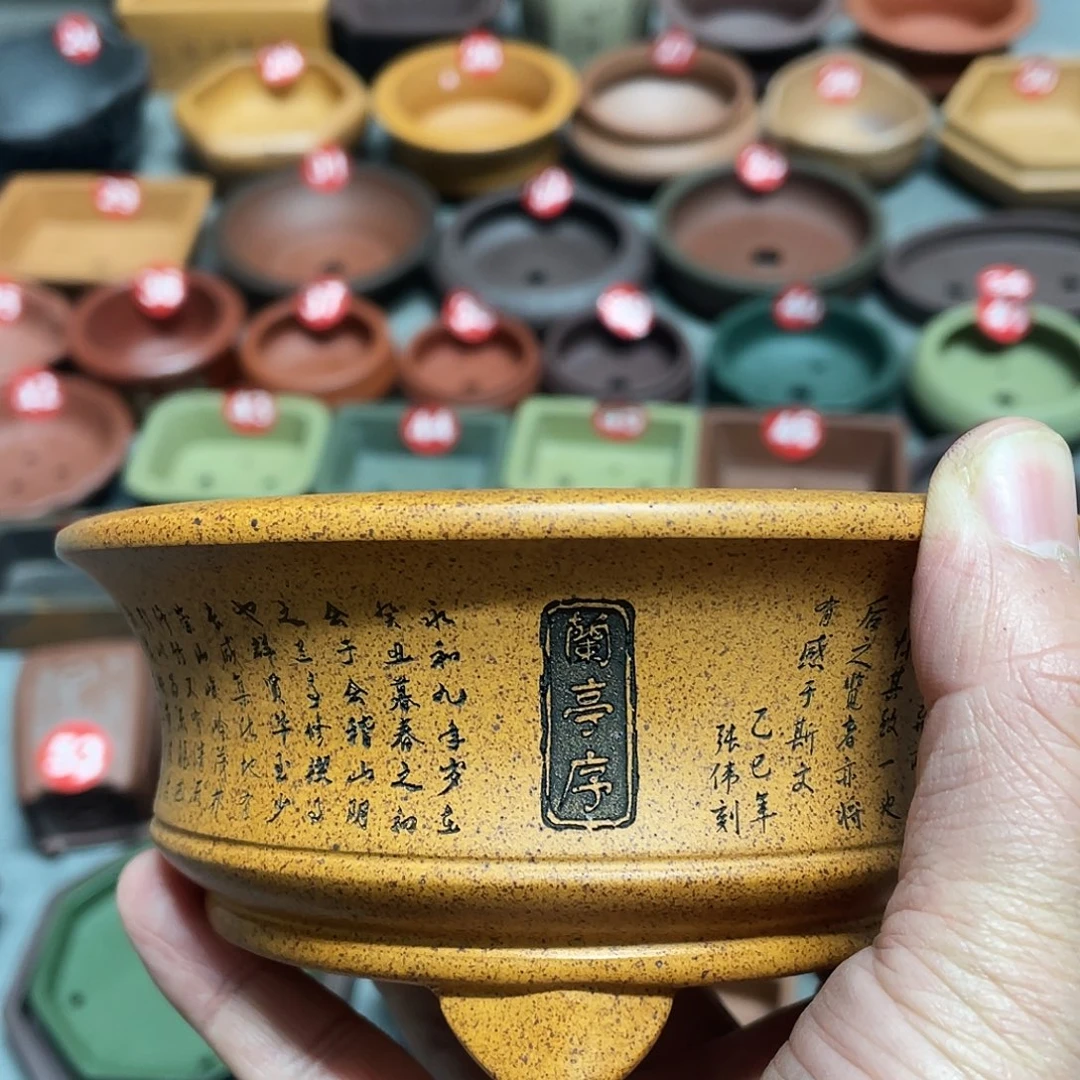 紫砂小盆11*4.5cmmmm