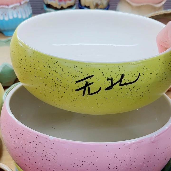 多肉植物陶瓷花瓶