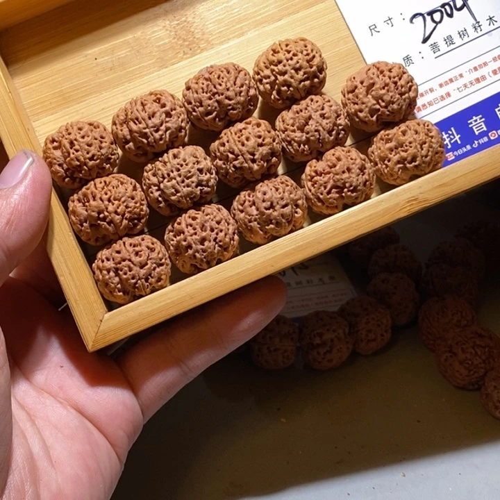 手串金刚菩提2004号尺寸22➕龙爪梅花