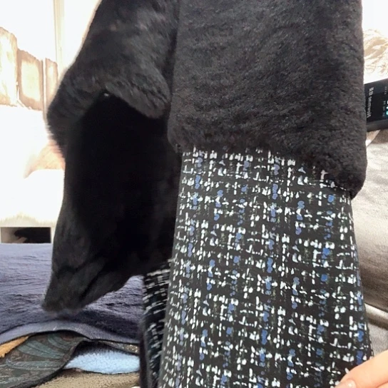 皮毛一体黑色特价一组