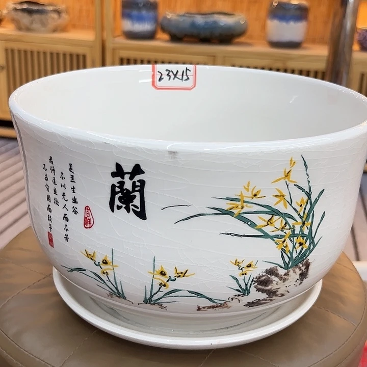 多肉植物陶瓷花盆