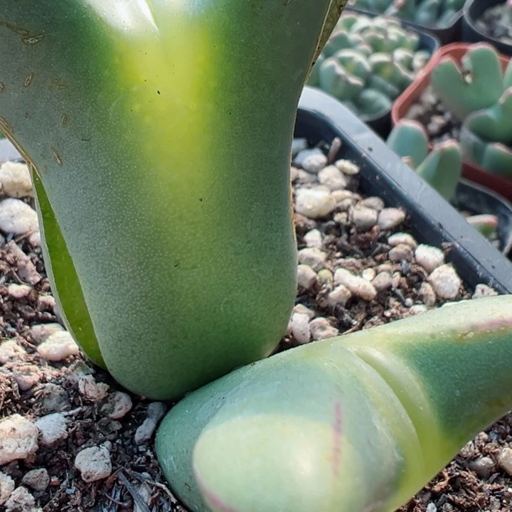 ?****?269号1111111111111