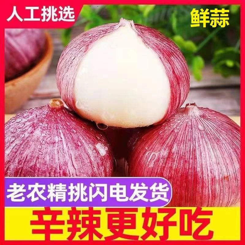 【新店半价】云南大理紫皮独头蒜新鲜独头大蒜2/3/5斤批发整箱包邮