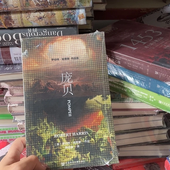 庞贝：微瑕图书系列