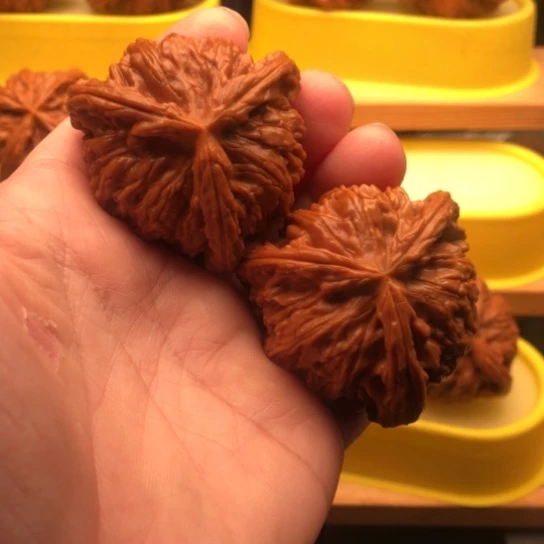 朱***斌核桃核桃核桃核桃核桃