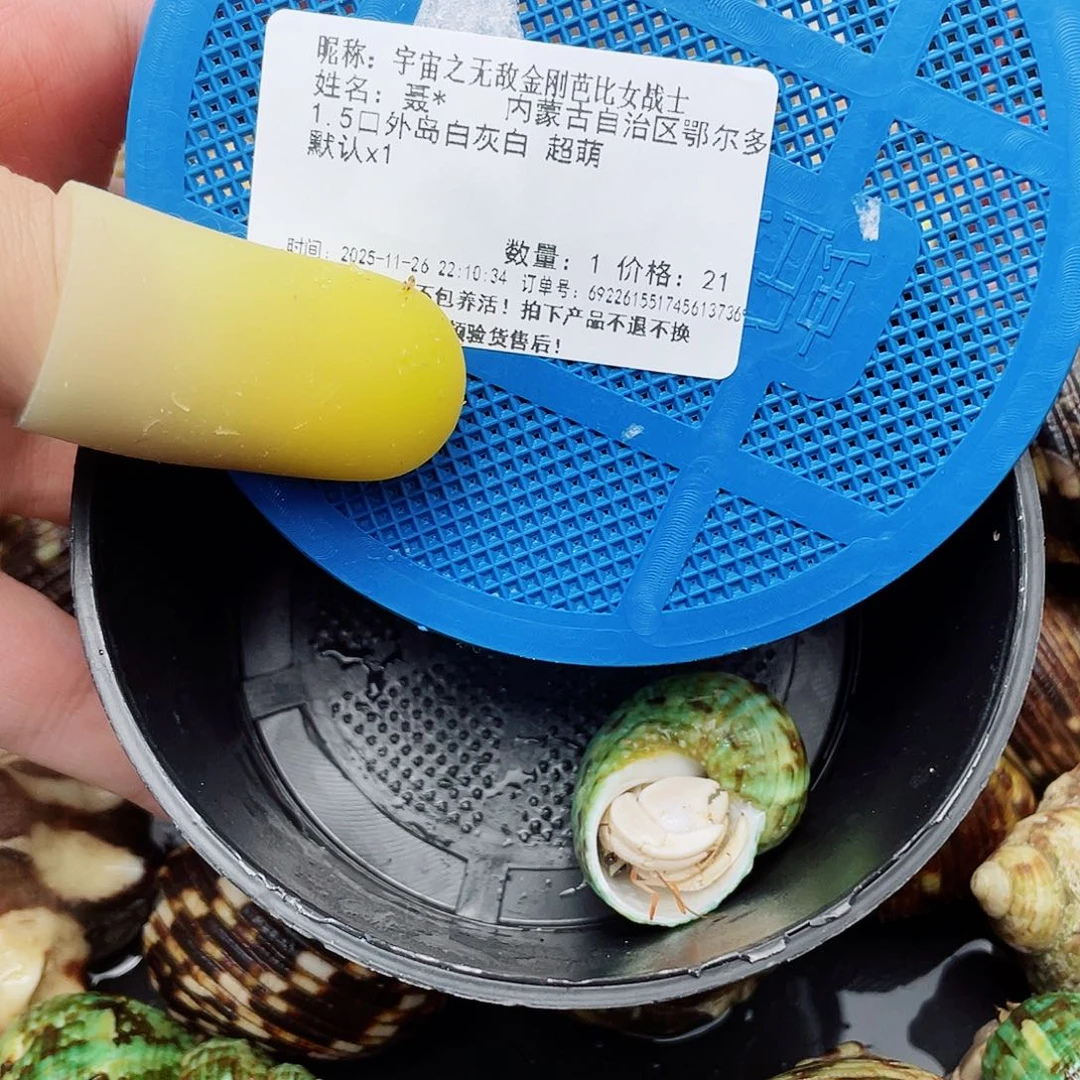 宇宙之无敌 专拍链接
