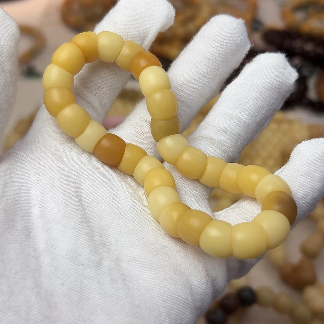 吊坠菩提根/象牙果11毛胚瑕疵树王肠