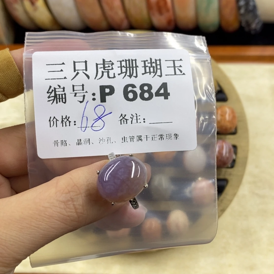 硅化珊瑚（珊瑚玉）1未镶嵌琳*