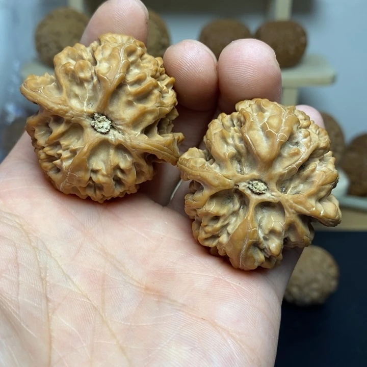 核桃42尺寸苹果园一对