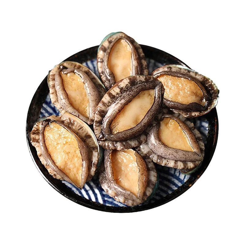 鲜活黄金大鲍鱼90g-100g/粒