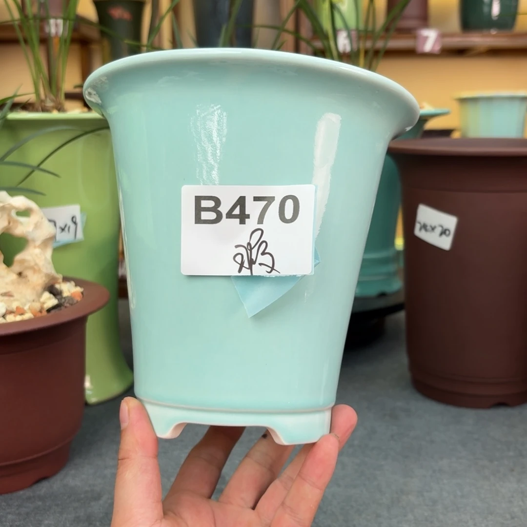 花盆紫砂兰花5268568868588