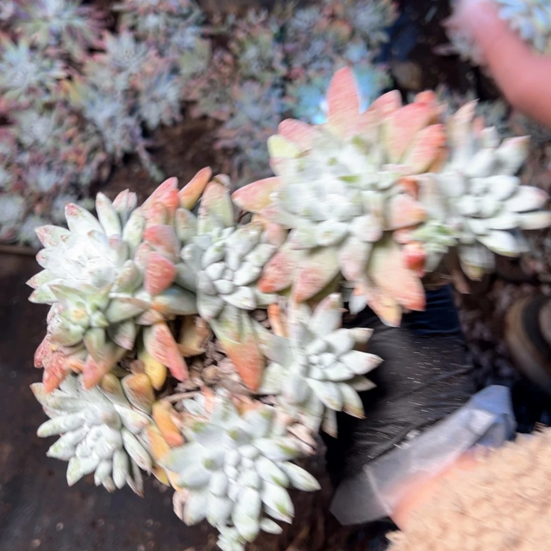 6467哈哈哈哈哈哈哈