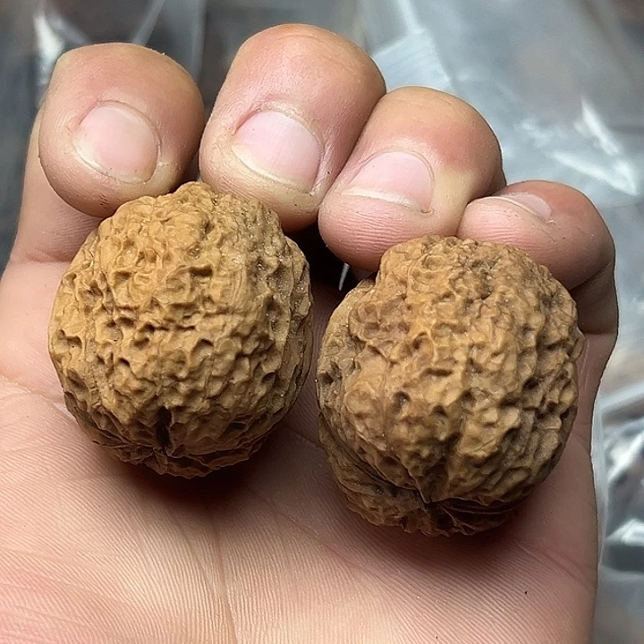 文玩核桃把件3号水龙蟾38尺