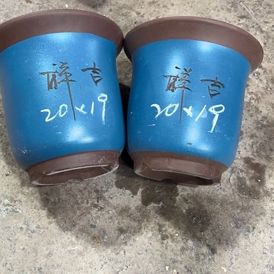 紫砂工艺厂……紫砂工艺厂……