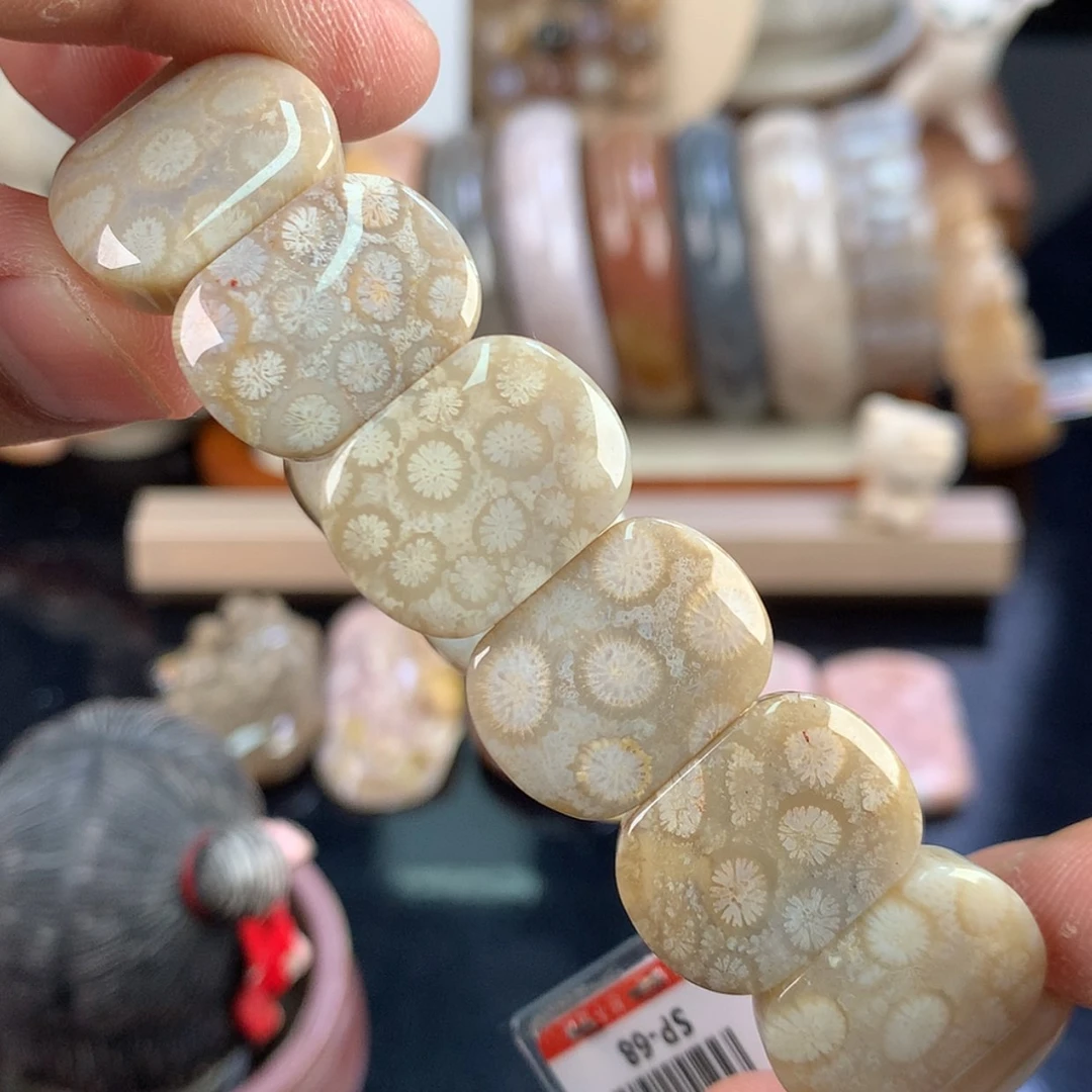 【闪购商品】硅化珊瑚（珊瑚玉）未镶嵌颈饰12号