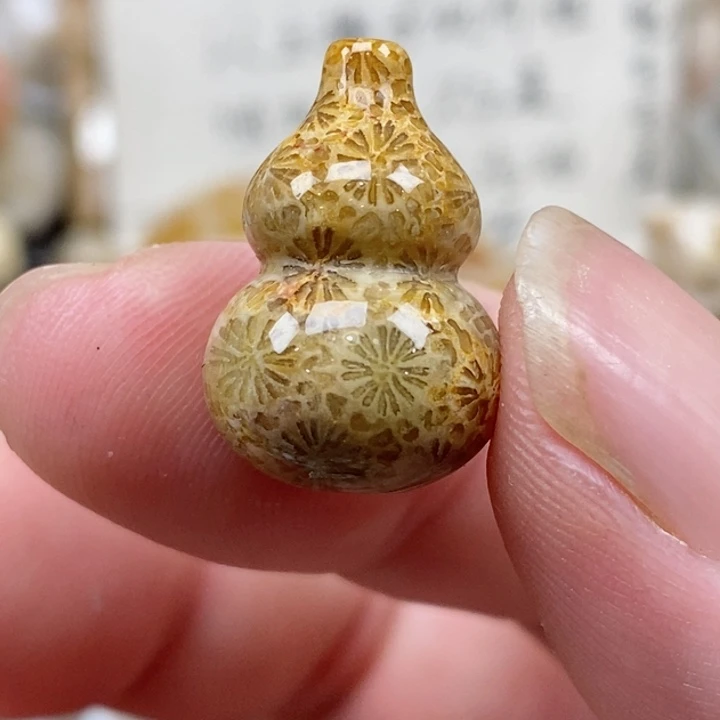 颈饰未镶嵌硅化珊瑚（珊瑚玉）没打孔 小