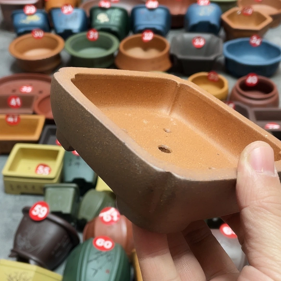 紫砂小盆10*9*2cmm