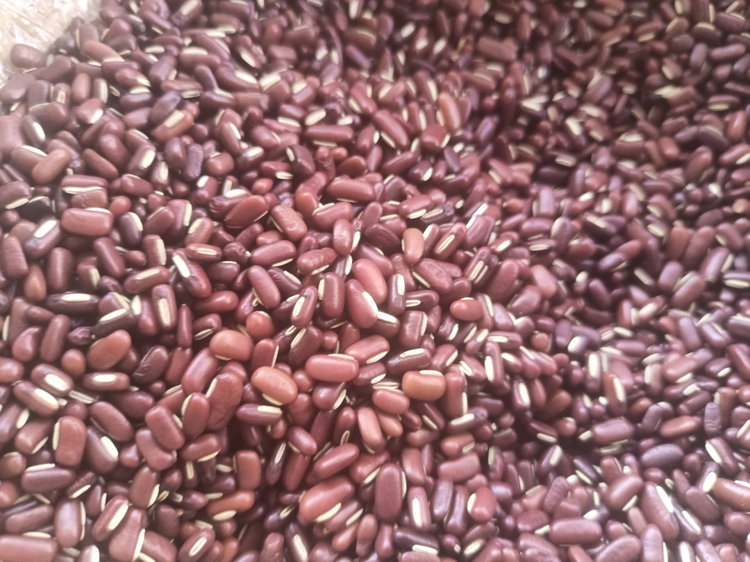 大仙甄选土特产赤小豆