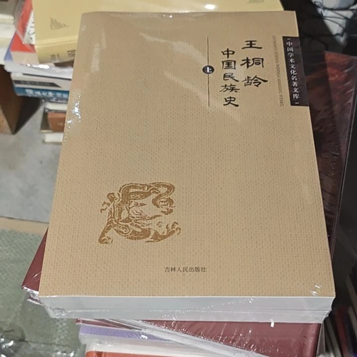 中国民族史两本一套平装库存书
