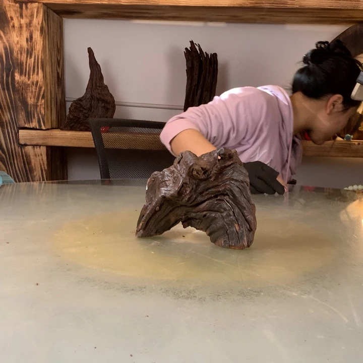 闲***适天然的云南紫柚木会黄水