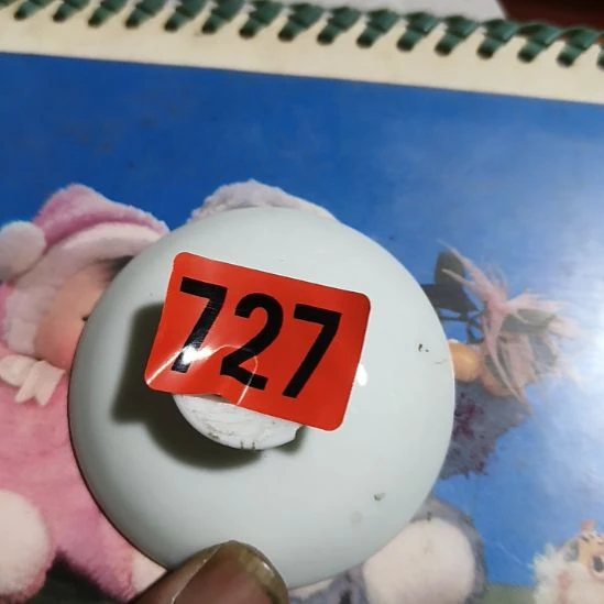 徽***胡民俗文化研究研究