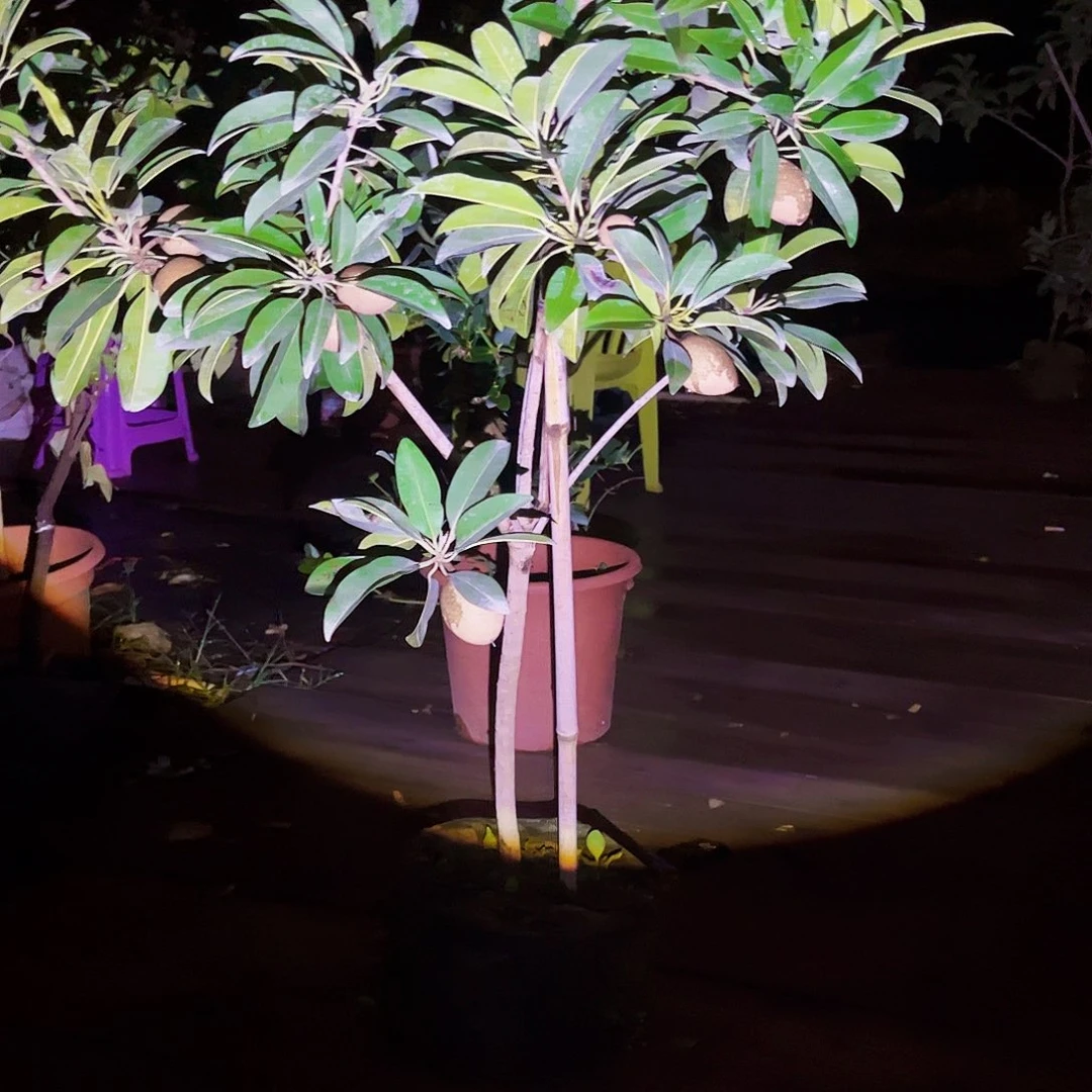 完全开放?**虎dddddddd