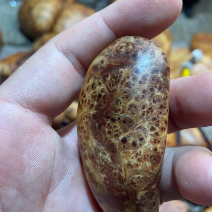 其他柏木（崖柏）把