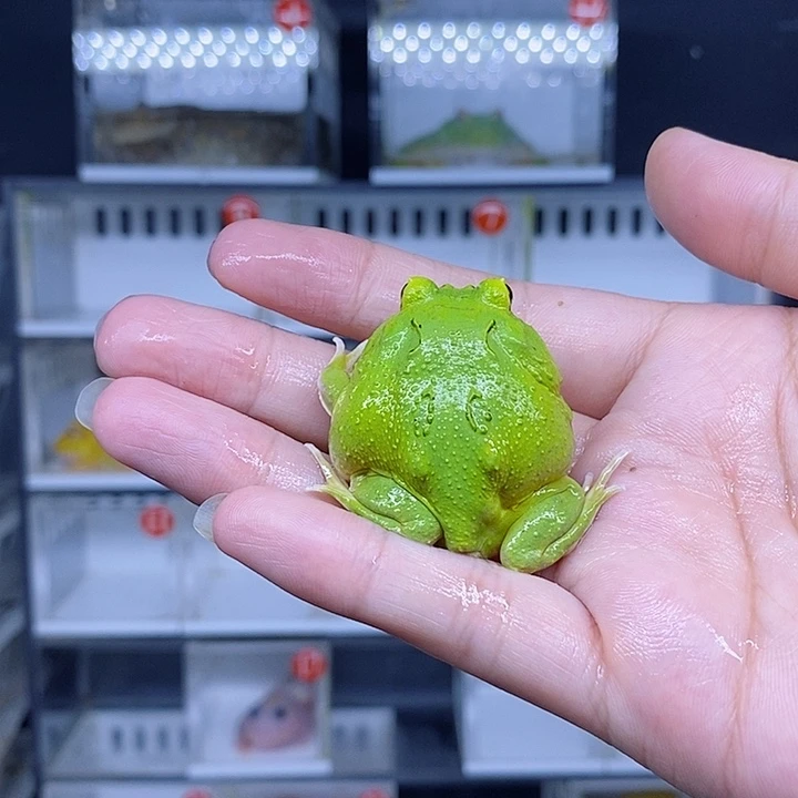 特价秒杀现货特价